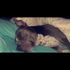 Meet your Posher, Erin